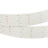 Лента светодиодная RT 2-2500 24V Day5000 5x2 (2835, 875 LED, CRI98) (Arlight, 36 Вт/м, IP20)